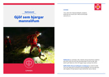 Hlaða mynd í myndasafnsskoðara, Leitarljós
