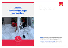 Hlaða mynd í myndasafnsskoðara, Skófla

