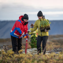 Hlaða mynd í myndasafnsskoðara, Rótarskot
